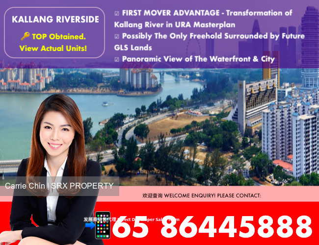 Kallang Riverside (D12), Apartment #278057981